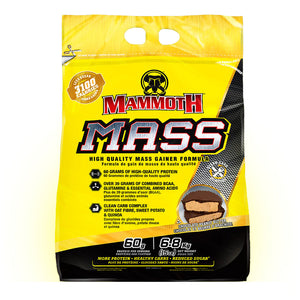 Mammoth Mass Weight Gainer (15lbs)