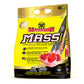 Mammoth Mass Weight Gainer (5lbs)