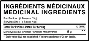 BULK Creatine Monohydrate (100g to 5kg)